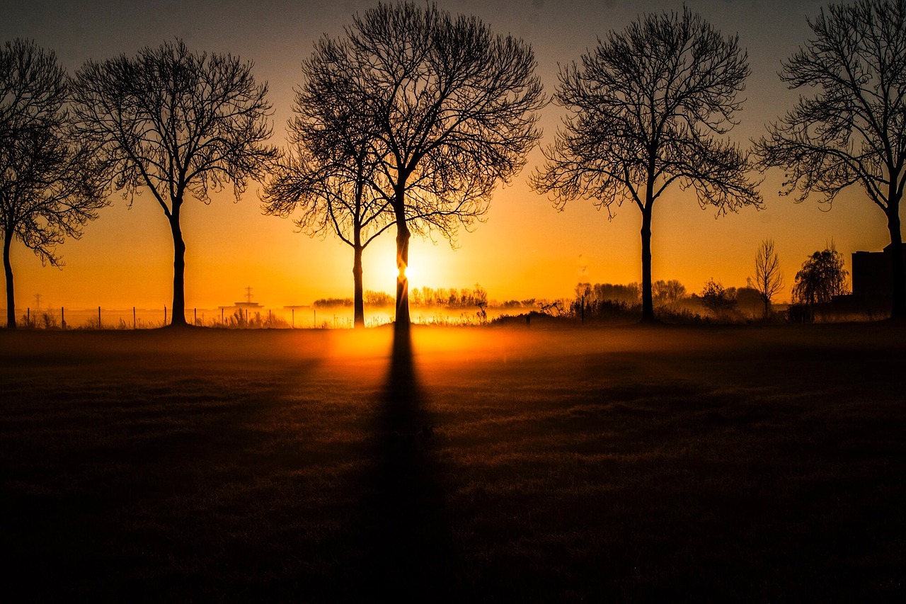 Photo Credit: Pixabay Free to use Even Commerically Photo Credit: Pixabay Free to use Even Commerically