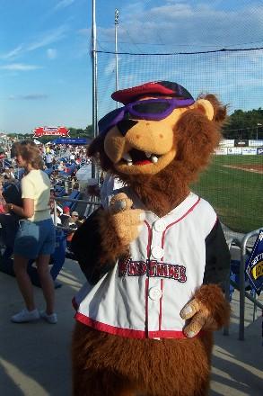 Wildthing - Washington Wildthings is a local baseball team.  THe Wildthing is the mascot :)  Aint he cute?