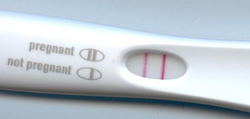 pregnancy, prank, wtf, ebay pregnancy, prank, wtf, ebay