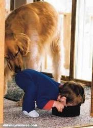 Dog Food! - This dog seems more interested in baby then in his food!