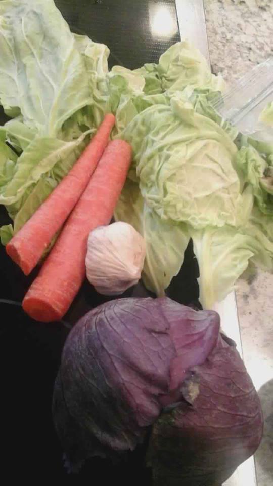 Photo of cabbage and carrots by Pat Z Anthony 