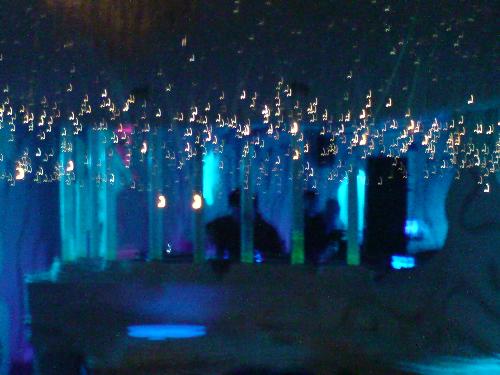Cafe Japone - Cafe Japone with the lights dimmed
