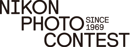 photo contest photo contest