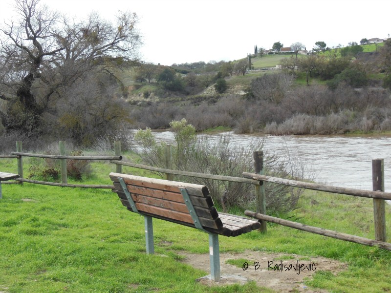 Bench overlooking the Salinas River in Paso Robles during January 2017