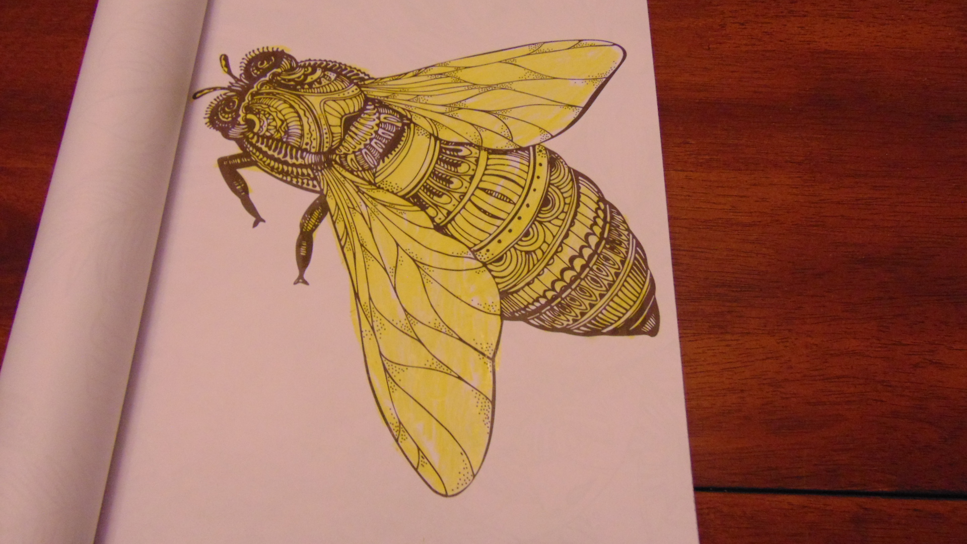 bee I colored.