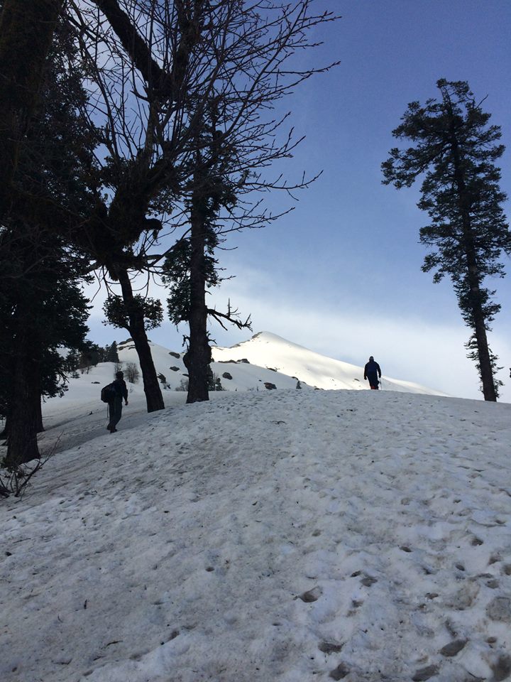 Kedarkantha Trek Kedarkantha Trek