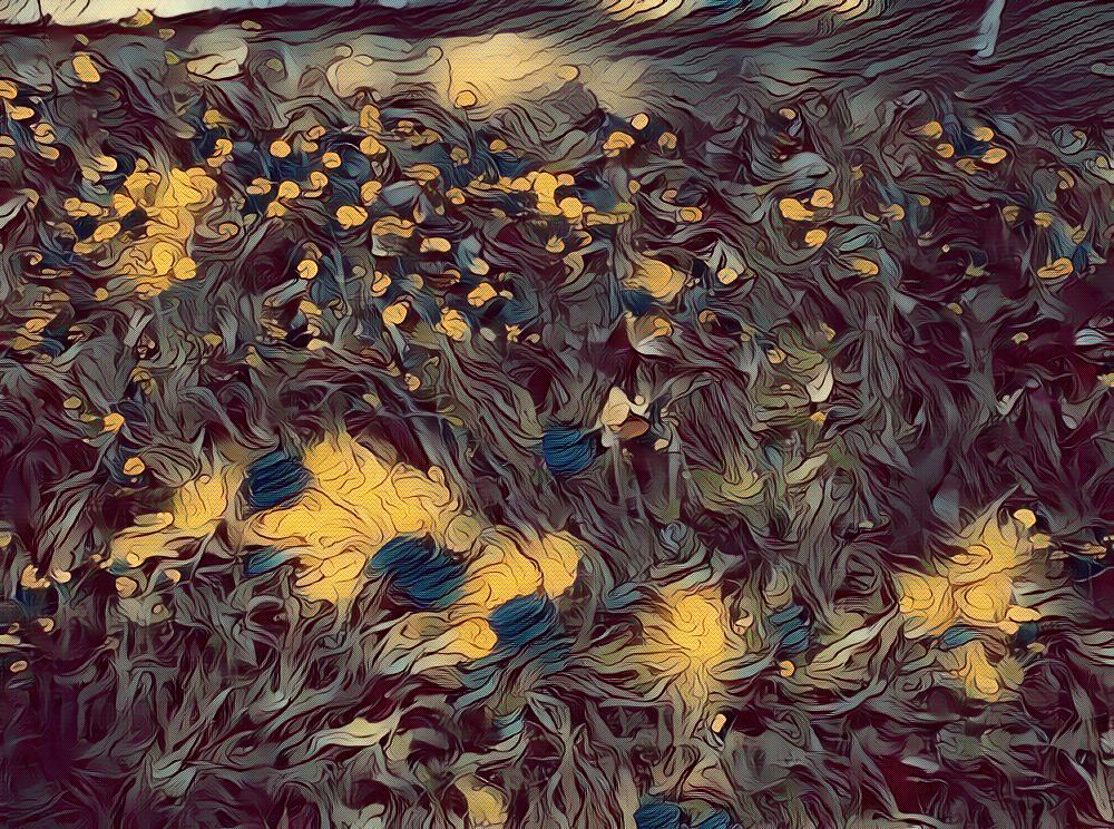 Photo I took of wildflowers with Beauty and Dark Art effects on LunaPic.com