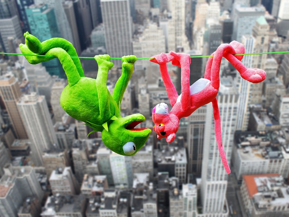 https://pixabay.com/en/the-pink-panter-plush-toys-kermit-1996281/ https://pixabay.com/en/the-pink-panter-plush-toys-kermit-1996281/