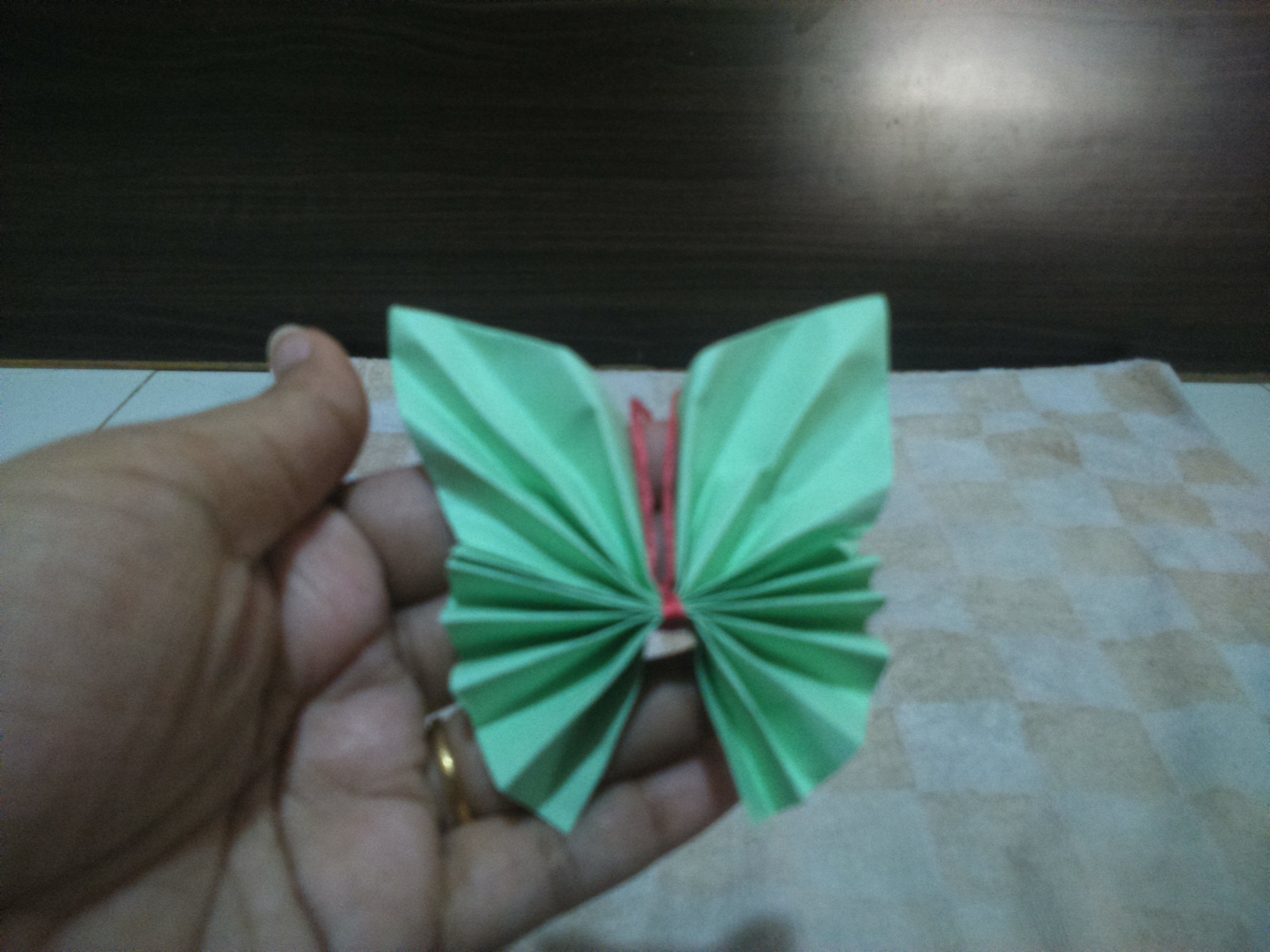 BUTTERFLY BUTTERFLY