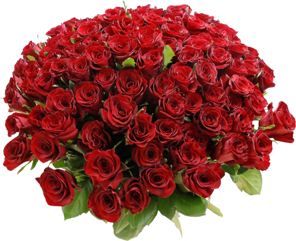 https://commons.wikimedia.org/wiki/File:Bouquet-of-Red-Roses.png