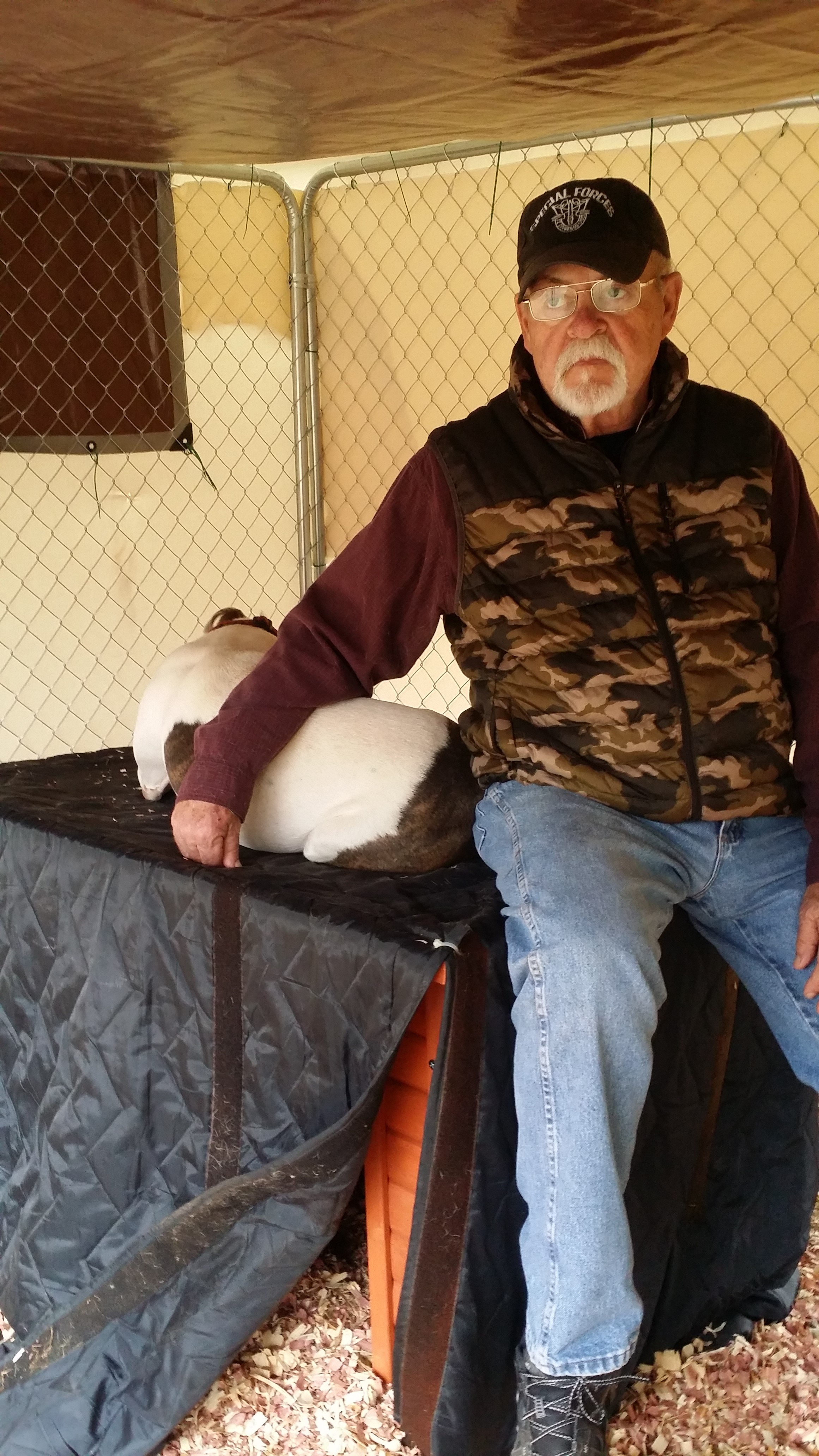 Skip and Duke sitting up on top of doghouse Skip and Duke sitting up on top of doghouse