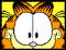Garfield Face - Garfield