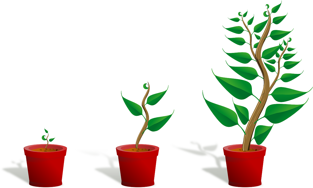 Photo Credit: Pixabay Free to use Even Commercially Photo Credit: Pixabay Free to use Even Commercially