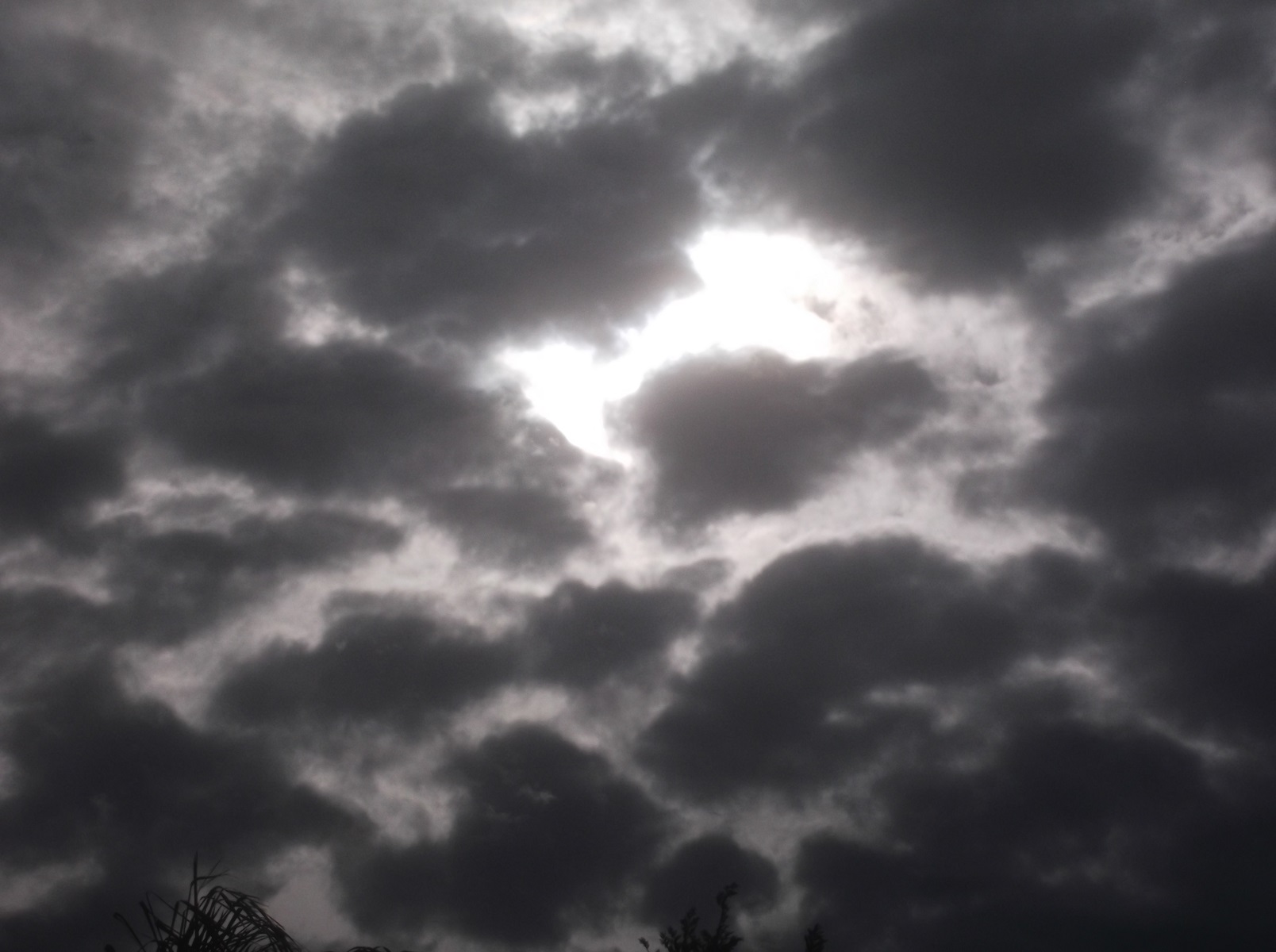 Photo taken by me 2-15-17 Photo taken by me 2-15-17