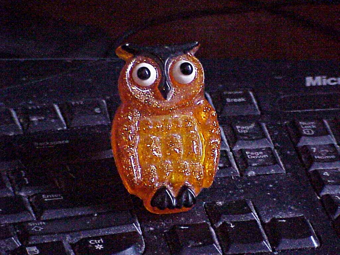 Image: The Owl on my Keyboard - Gus Kilthau Image: The Owl on my Keyboard - Gus Kilthau