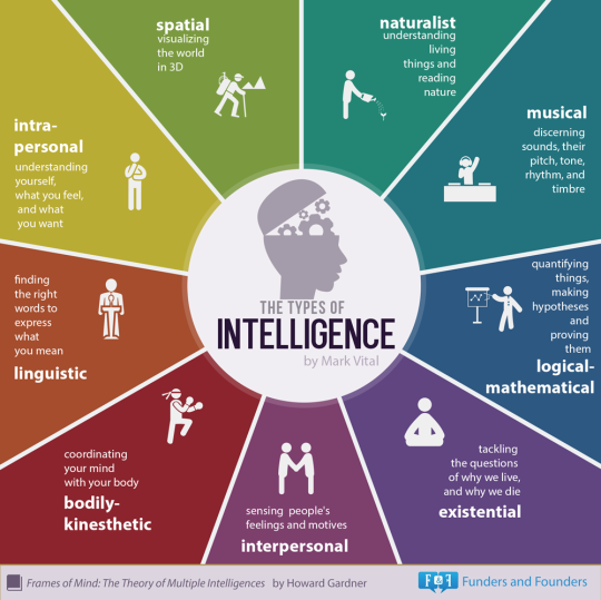 The Nine Types of Intelligence