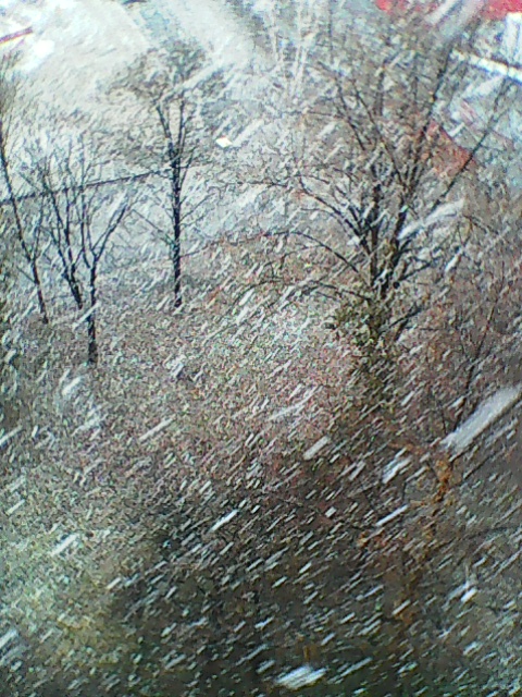 Beautiful Snow Beautiful Snow