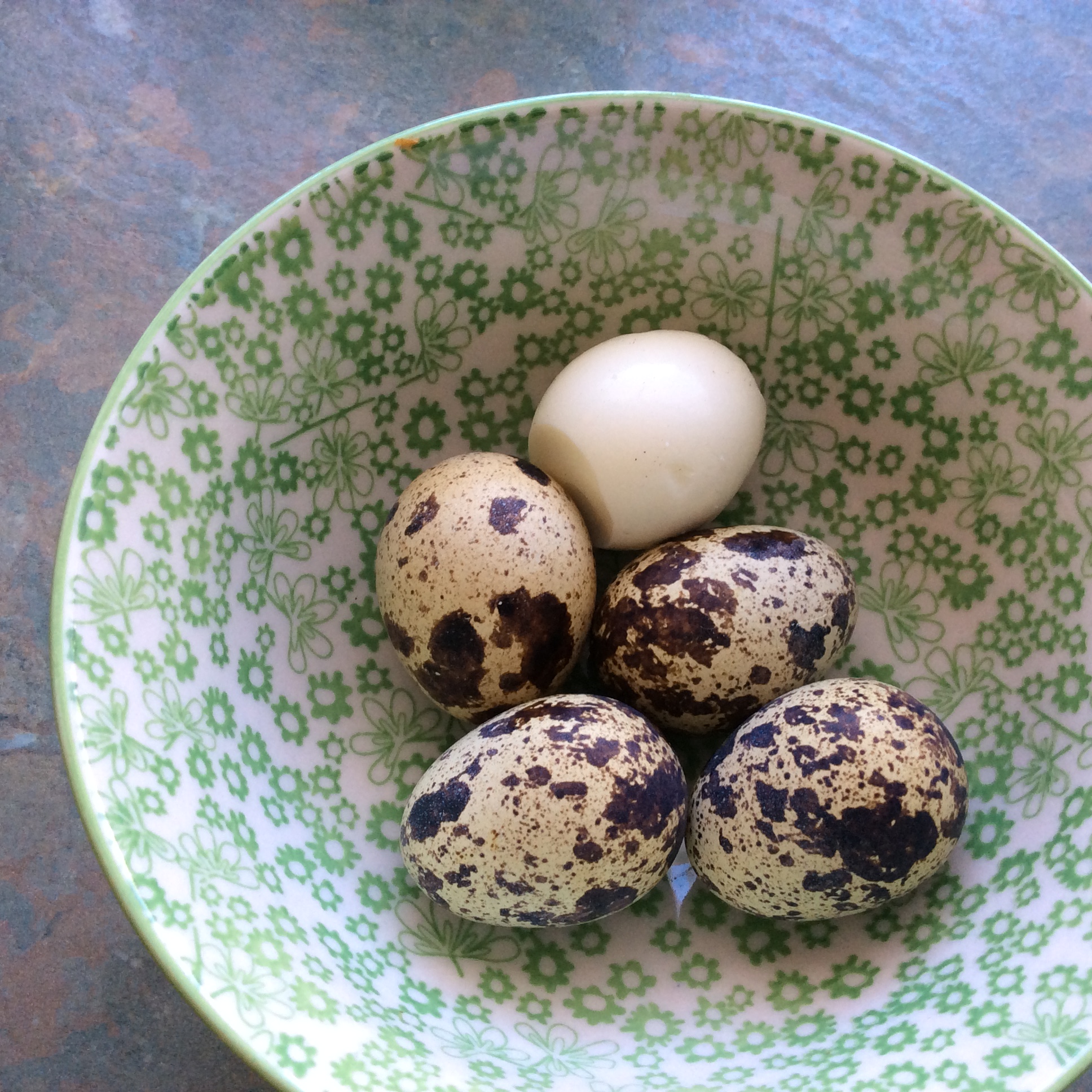 quail eggs for sale near me