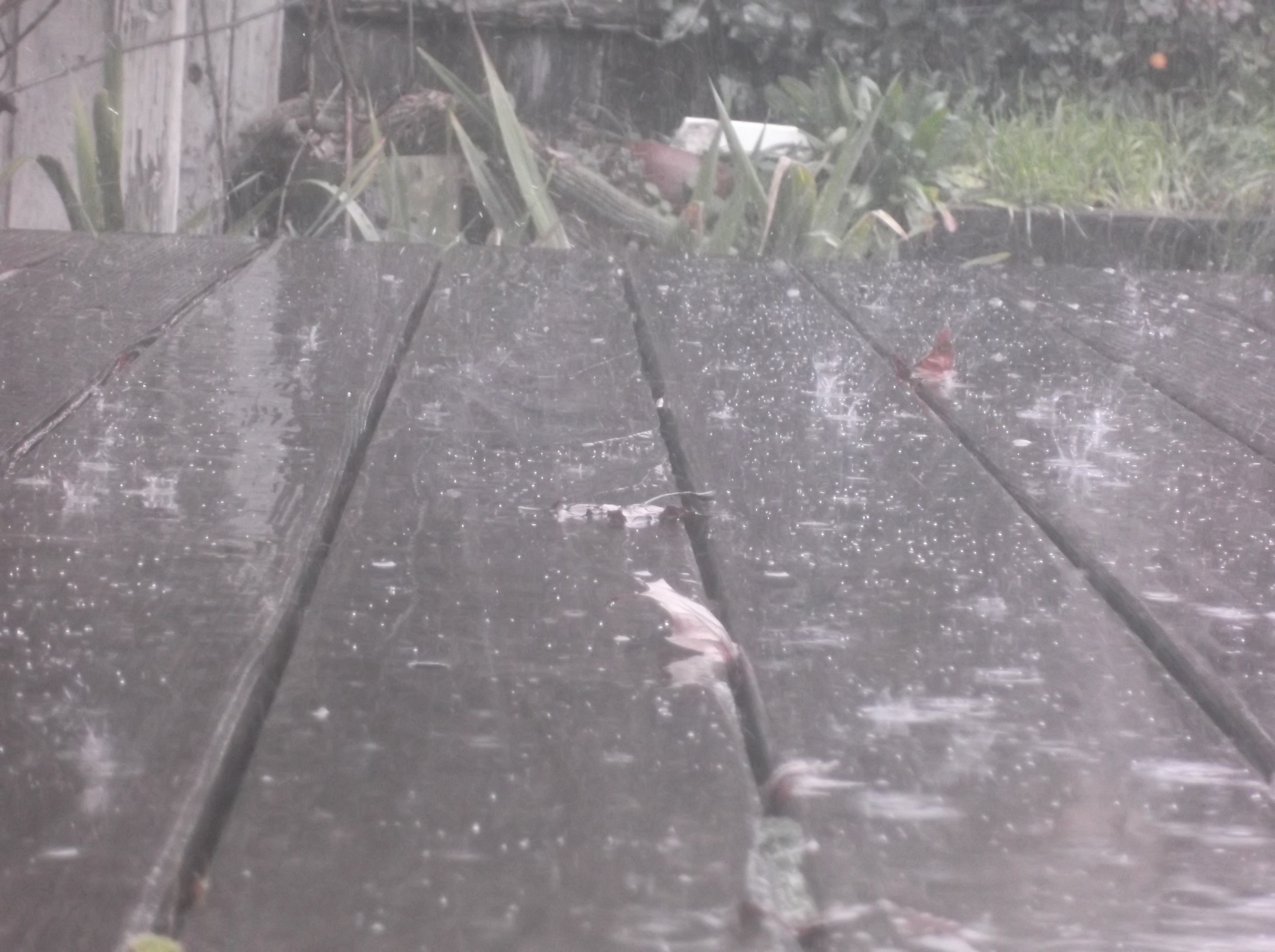 Photo I took of the rain on our back deck