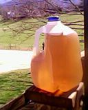 Sun Tea "brewing" on the porch banister