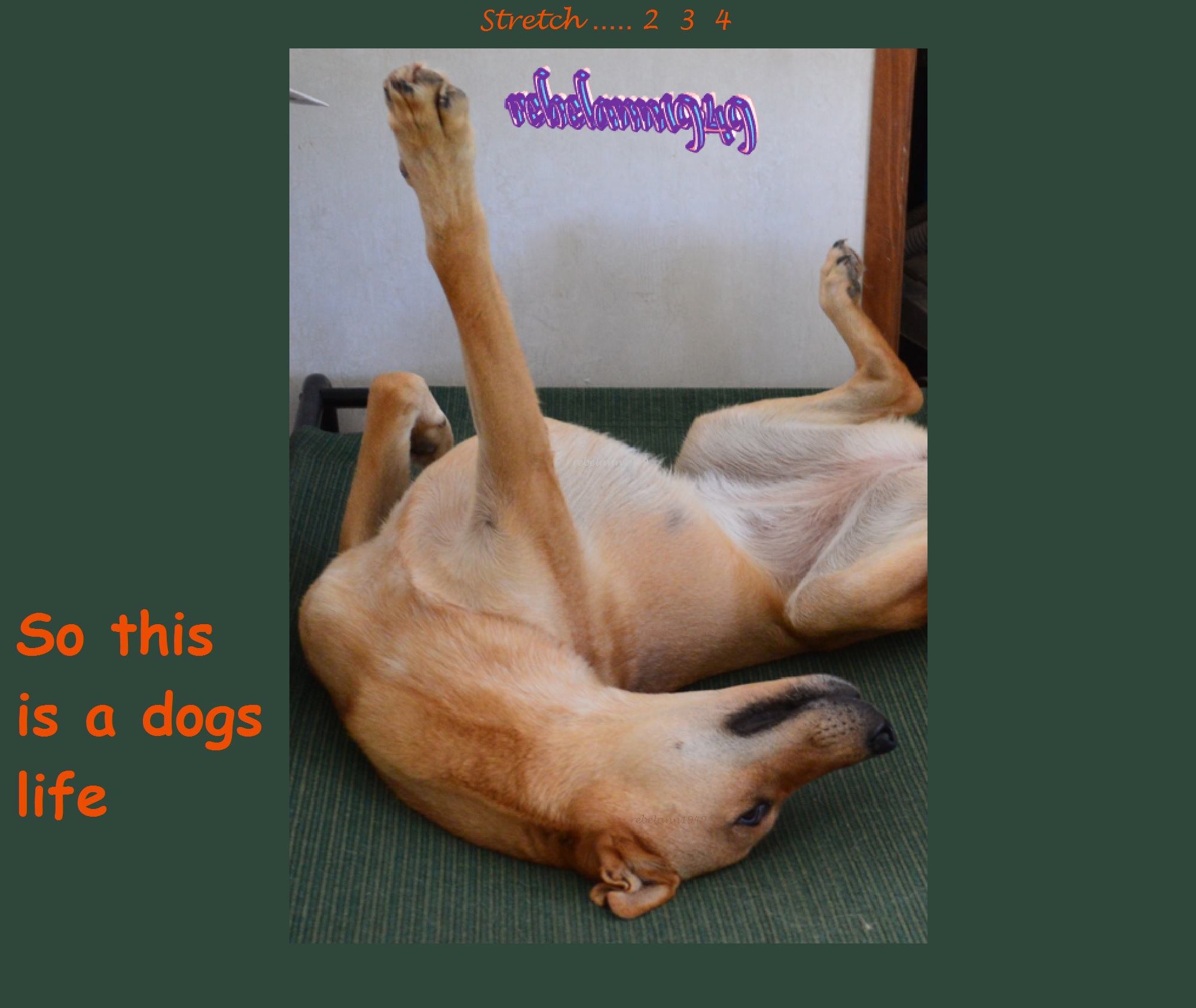 Ally stretching. Ally stretching.