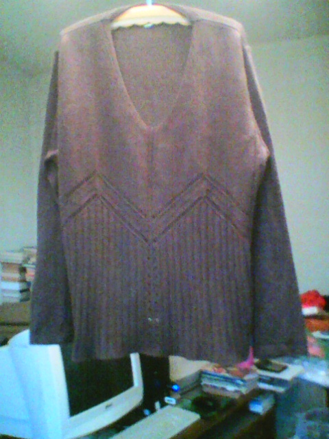 A Brown Pullover