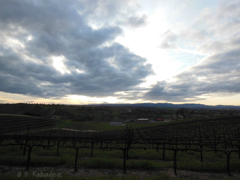 Sunset and Valley as Viewed from Penman Springs Vineyard in Paso Robles Sunset and Valley as Viewed from Penman Springs Vineyard in Paso Robles