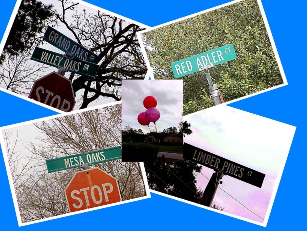 Odd Street Signs at Grand Oaks Development