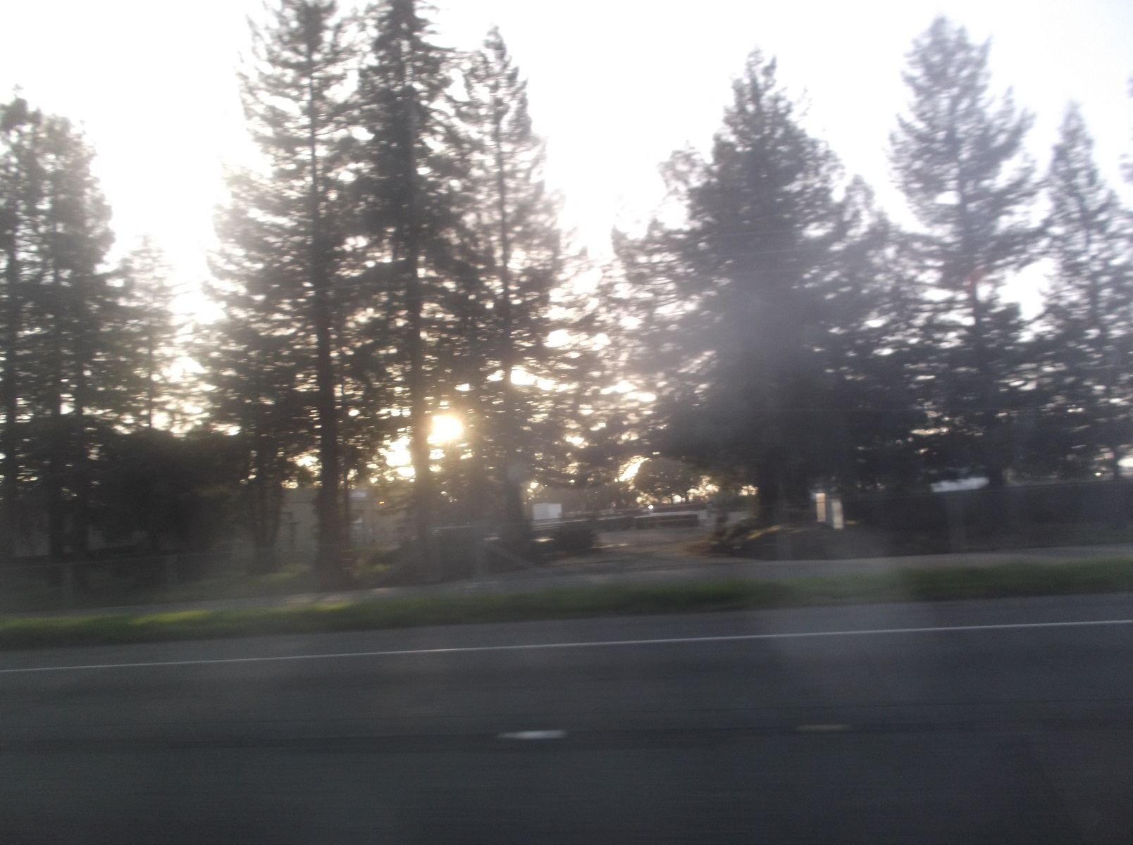 Photo taken by me 2-16-17 Photo taken by me 2-16-17