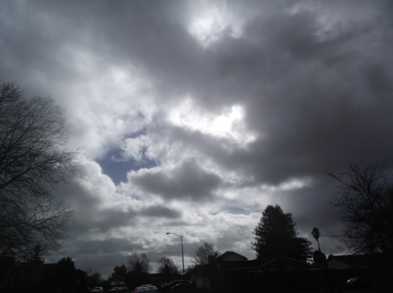 Photo taken by me, 3-5-17 Photo taken by me, 3-5-17