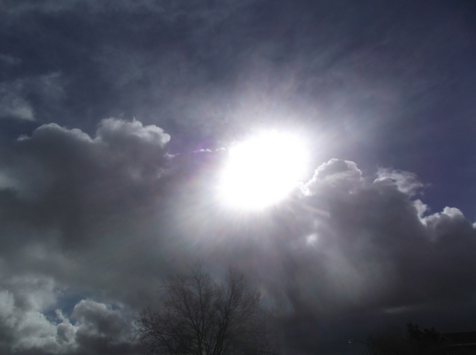 Photo taken by me 3-7-17