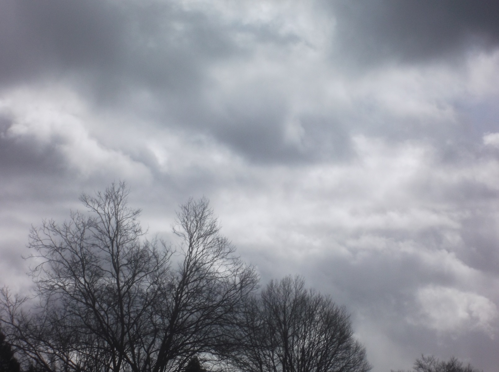 Photo taken by me 3-5-17