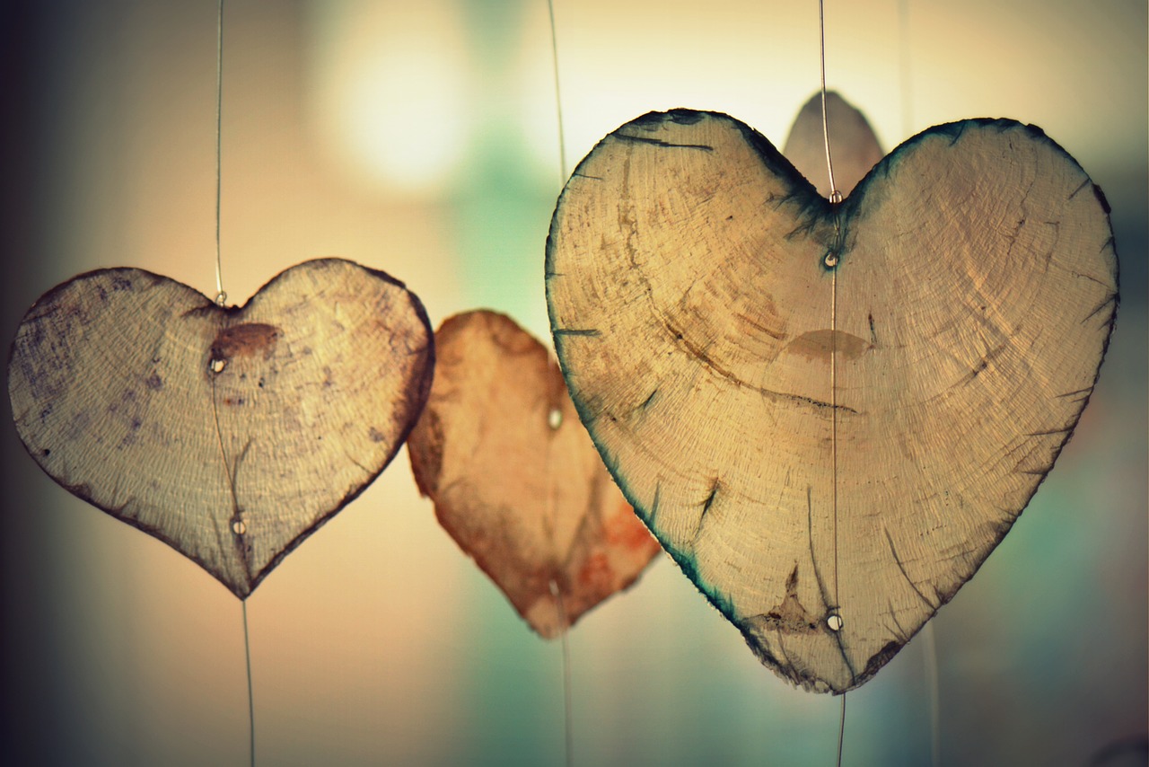 It is hard to love when our heart is wooden because it has been cut off from the tree It is hard to love when our heart is wooden because it has been cut off from the tree