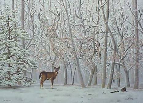 Unique Picture 13 - Unique Picture 13
