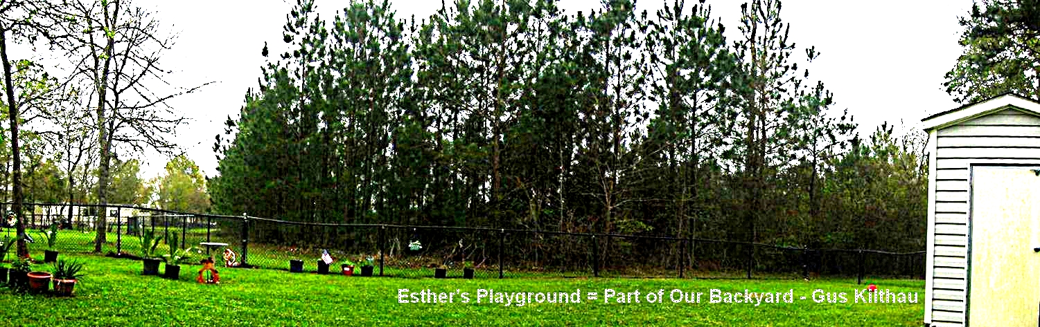 Our fenced-in backyard in the country - Gus Kilthau Our fenced-in backyard in the country - Gus Kilthau