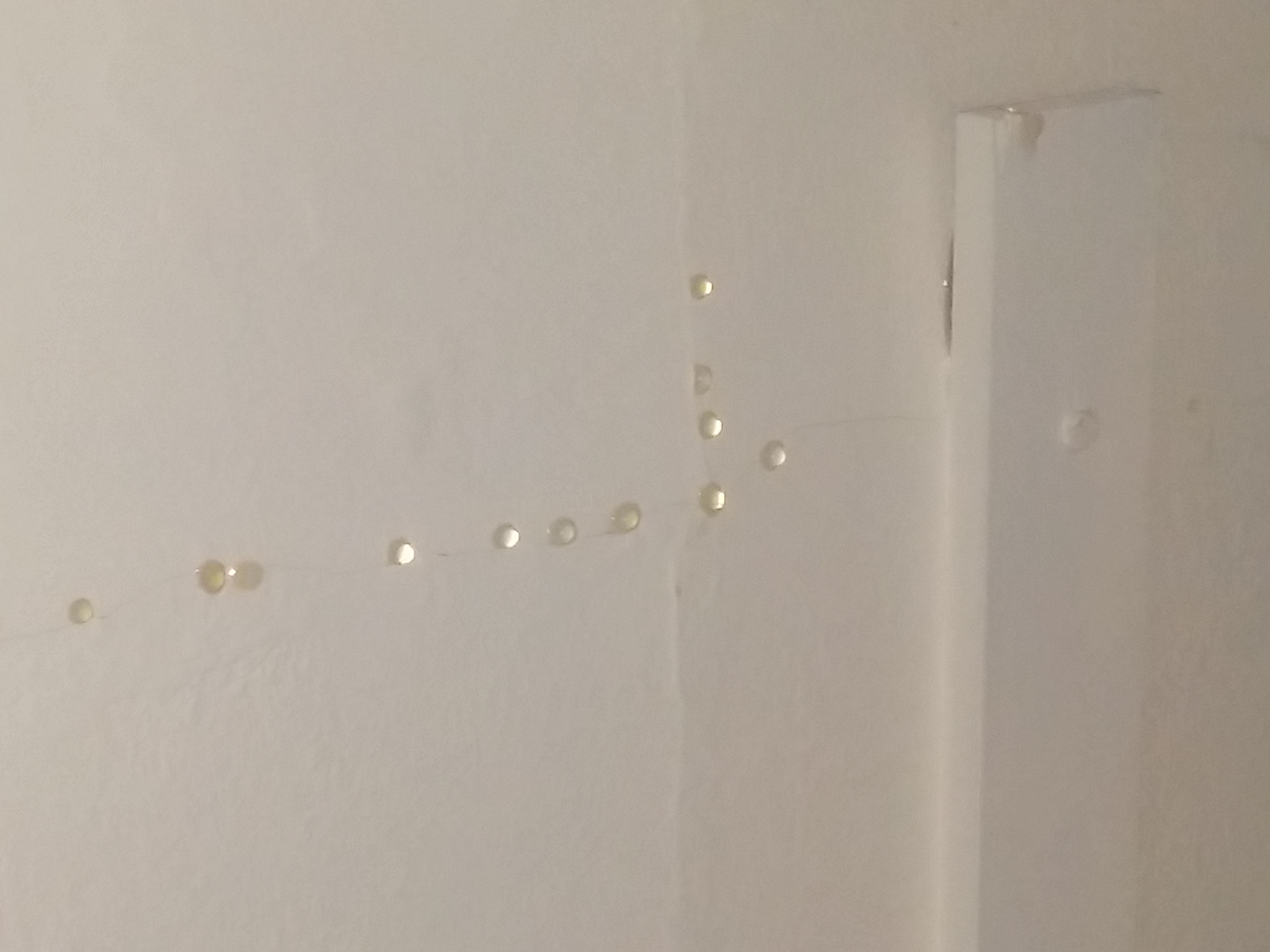 The leaks in my room The leaks in my room