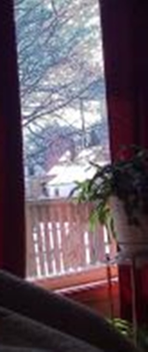 © 2017 Marsha Musselman. All Rights Reserved. March 13 snowstorm 1-3 in. neighbor's roofs