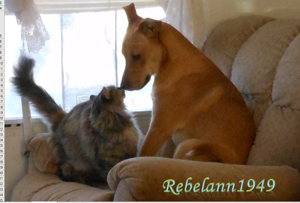Ally and Boobear BFFs