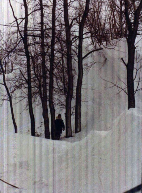 Blizzard of '77