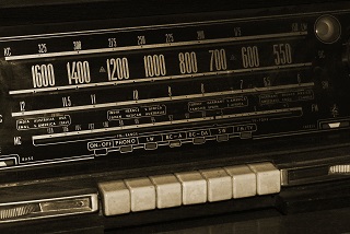 from pixabay from pixabay