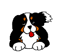 My furbaby - I love this picture, it is a Bernese Mountain dog (which I have) and I think it just captures the breed's prsonality!