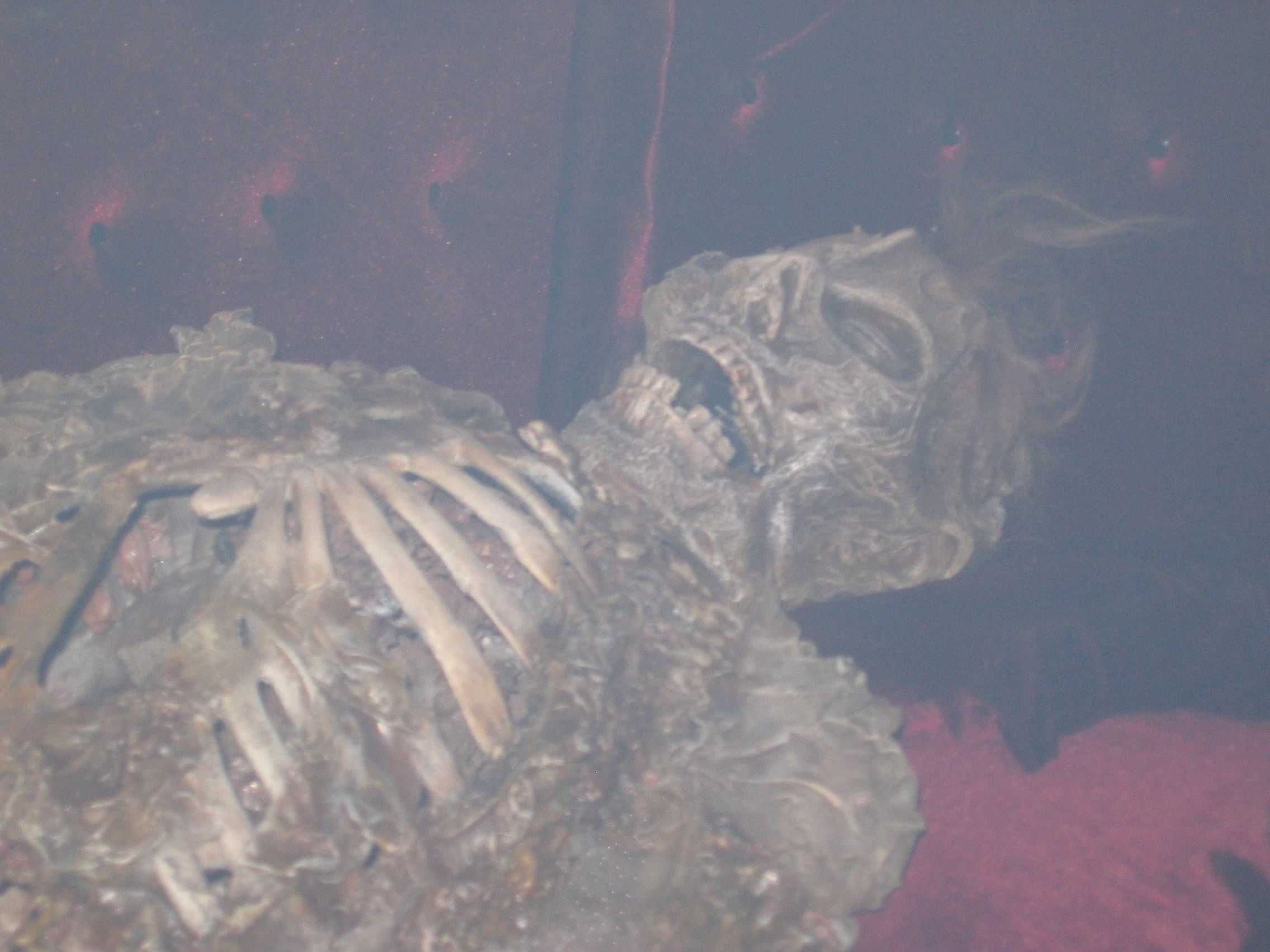 Photo taken by me – Skeleton in Satan's Hollow Nightclub, Manchester