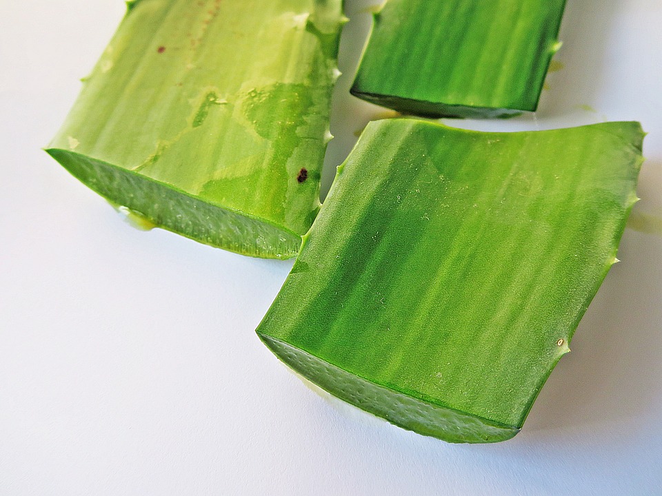 https://pixabay.com/en/aloe-vera-treatment-of-burn-2036626/