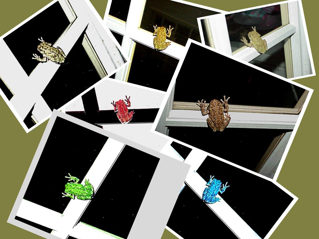 The alien frogs at the door - Gus Kilthau The alien frogs at the door - Gus Kilthau