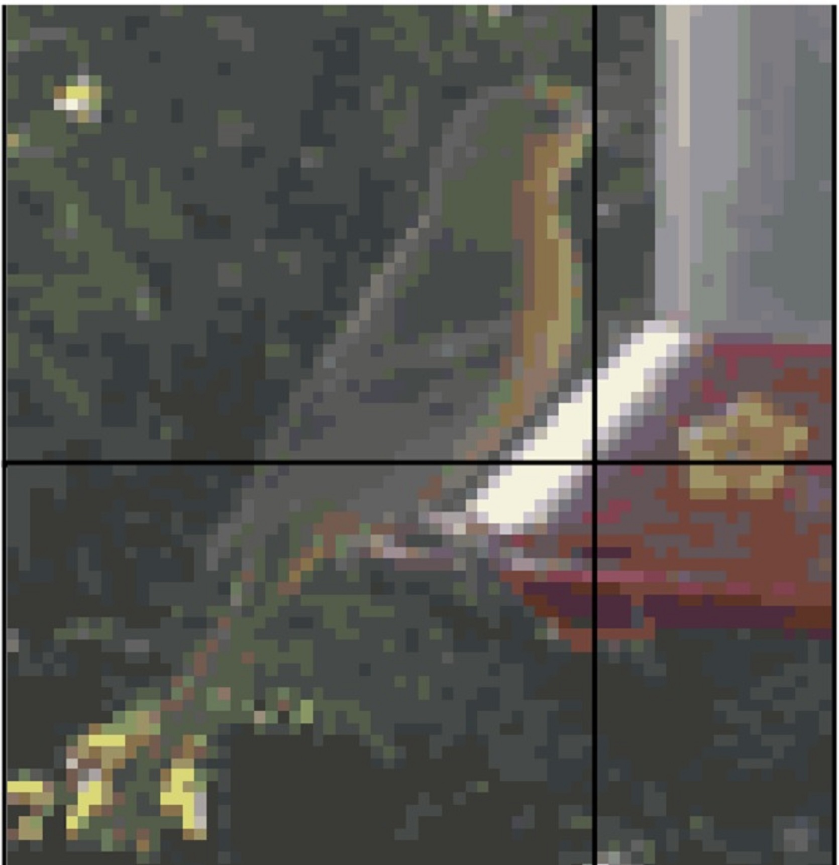 Photo I took of a female Oriole at our hummingbird feeder Photo I took of a female Oriole at our hummingbird feeder