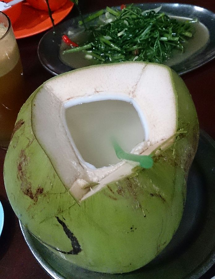 https://commons.wikimedia.org/wiki/File:Coconut_drink_2.jpg