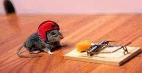 17. Take Calculated Risks - 18 Rules For Life