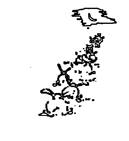 Rabbits - Sketch by Al Kaeppel Rabbits - Sketch by Al Kaeppel