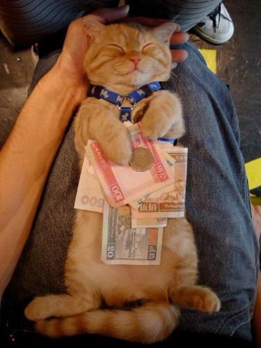 18. Understand 'Money Isn't Everything' - 18 Rules For Life