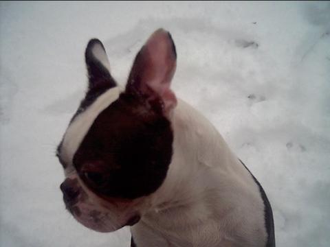 Beefcake  - Profile of Beefcake